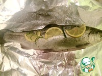 ������ ������ � ���������� �����������