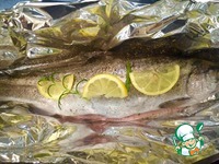 ������ ������ � ���������� �����������