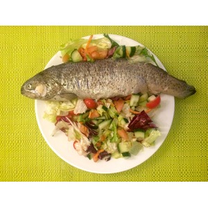 ������ ������ � ����������