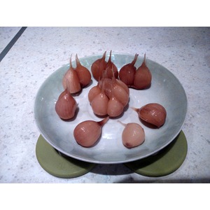 ������ ������������