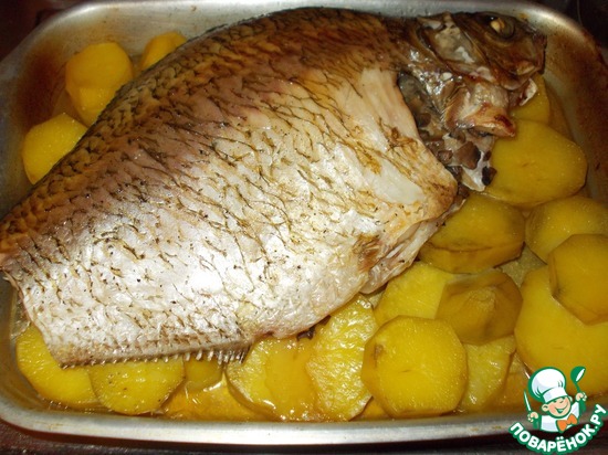 �������������� ���� ��- ������