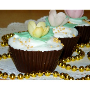 ������� ������ � ��������