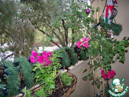 ����� �� ��� ������� � �� ������