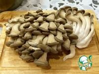 ����� "����������" �����������