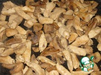 ����� � ������� "������" �����������