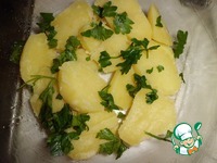 ������ � "���������" �����������