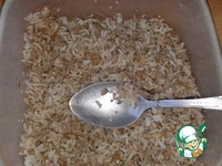 ����-��������� �����������