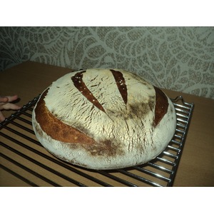 ���� �� �������