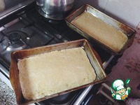 ���� "�����" �����������