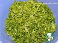 ������� �� ������� ����� � ����� � ������� �����������