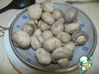 ����� �� ������ � ������������ � ������� �����������