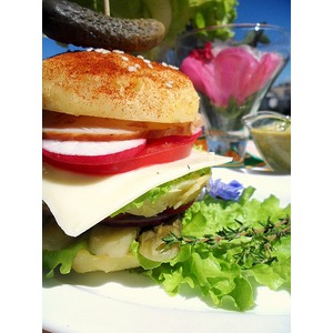 �������-����� �� ���������