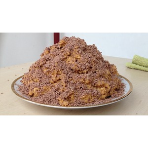 ���� "����������" �� 10 �����