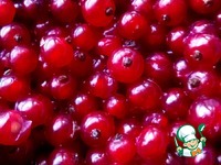 ������ �� ������� ��������� �����������