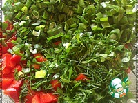 ����� "������������" �����������