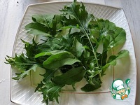 ����� � ������� ������� �����������