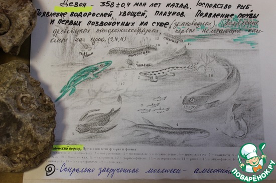 ��������� ���������� �������