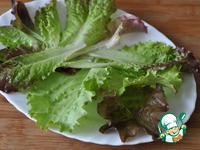 �����-����� � ��������� � ������� �����������