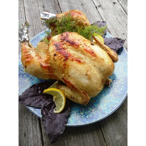 ������ � ���������� ��������