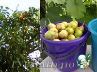 ���� �� ���� �����������