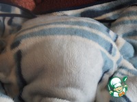 �������� ������ ��� ������������ �����������