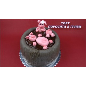 ���� � �������� "�������� � �����"