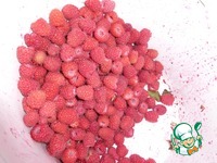 ��������� ���� �����������