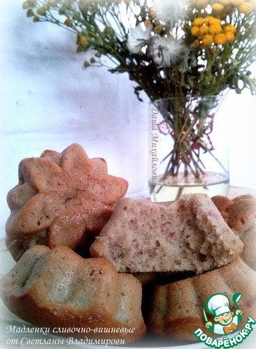 �������� ��������-��������