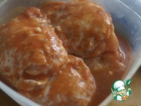 ������ � �������� �����-�������� �����������