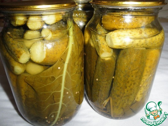 ������������ ������ "���������"