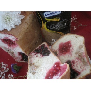 ����-����� �� ����������