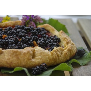 ����������� ������ � ��������