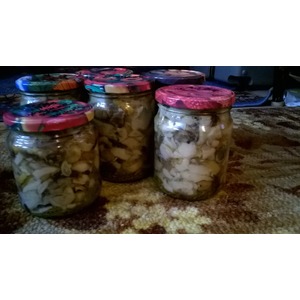 ������������ �����