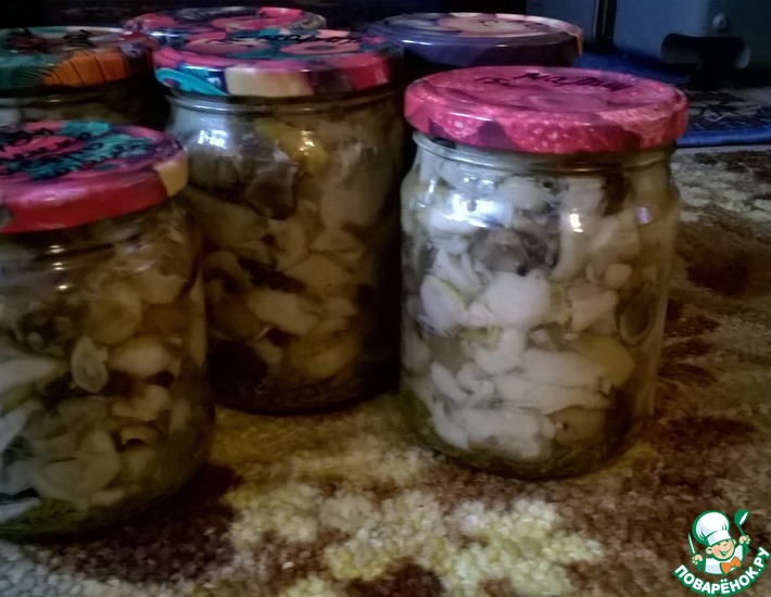 ������: ������������ �����