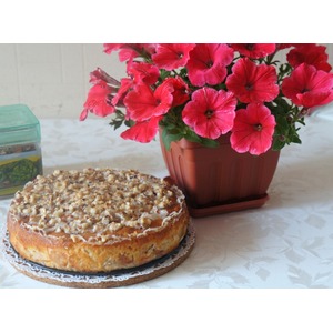 ����������� ������ �������� �����