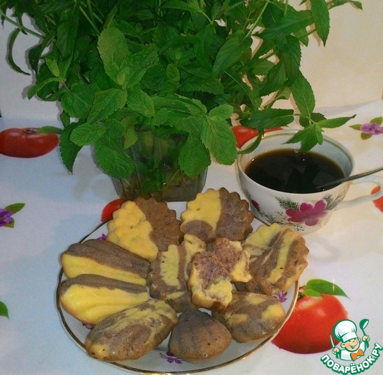 �������� ��������-��������(���������)