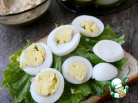 ������� � ���������� � ��������� �����������