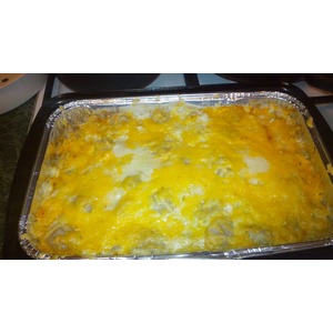 �������� ����������