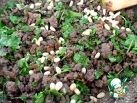 ������������� ������ �����������