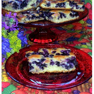 ������� ��������� �����