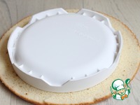 ��������-����������� ���� �����������