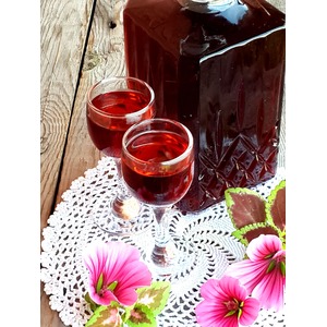 ����������������� �����