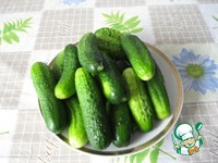 ������������ ������ "������" �����������