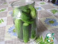 ������������ ������ "������" �����������