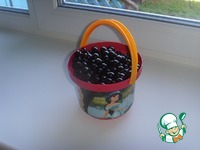 ������������ ���� � ����������� �����������