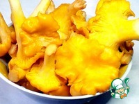 ������ ����� � ����� � ��������� �����������