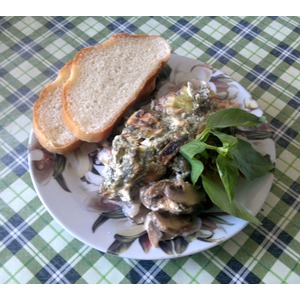 ���� ���� � ������� � �������