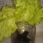 � ����� ��� �����