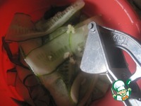 ����� � ������� �������� � ������� ������� �����������