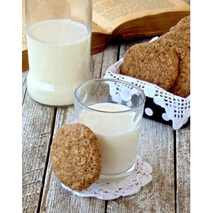 ������� ���������-�������